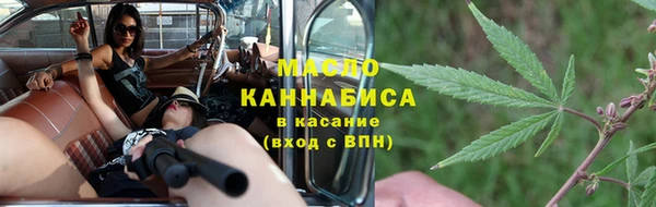 СК Пересвет