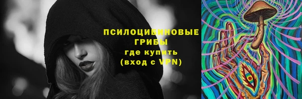 дмт Переславль-Залесский
