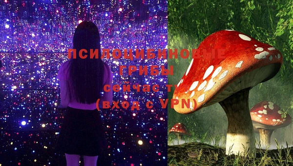 СК Пересвет