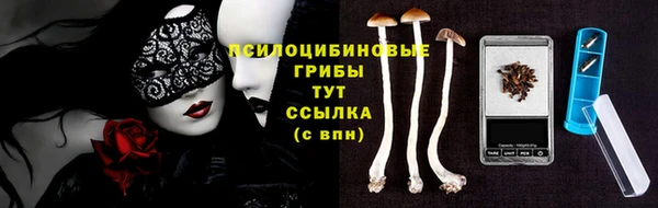 дмт Переславль-Залесский