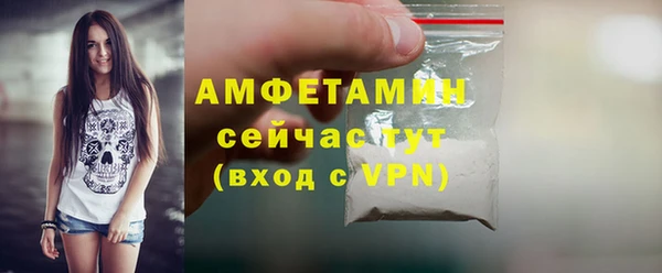 СК Пересвет