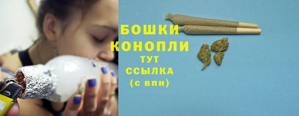 молекула духа Болохово