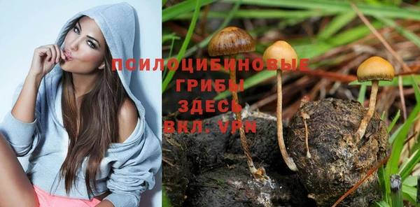 дмт Переславль-Залесский