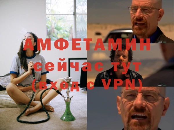 СК Пересвет
