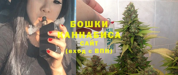 дмт Переславль-Залесский
