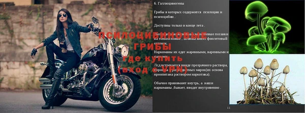 мескалин Болхов