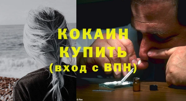 сатива Пестово