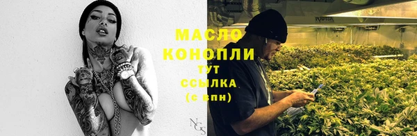 дмт Переславль-Залесский