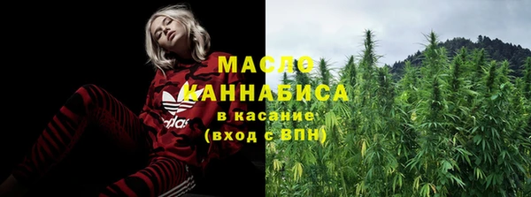 СК Пересвет