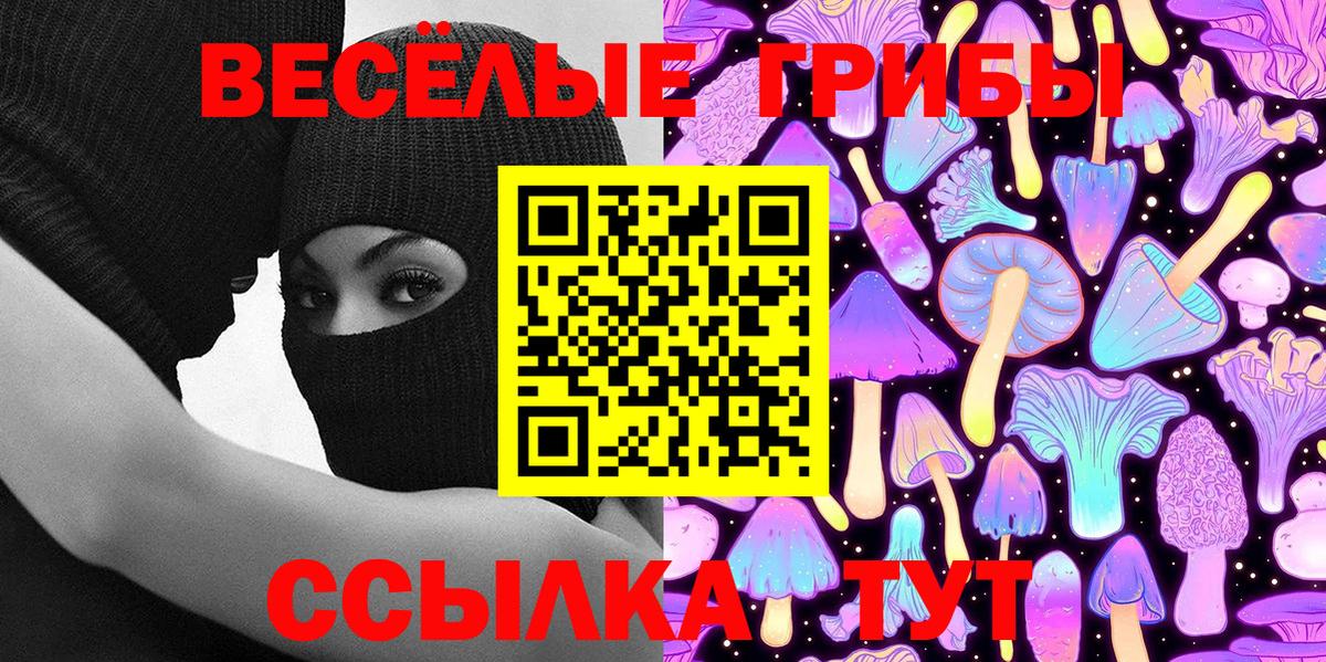 Псилоцибиновые грибы GOLDEN TEACHER Курган