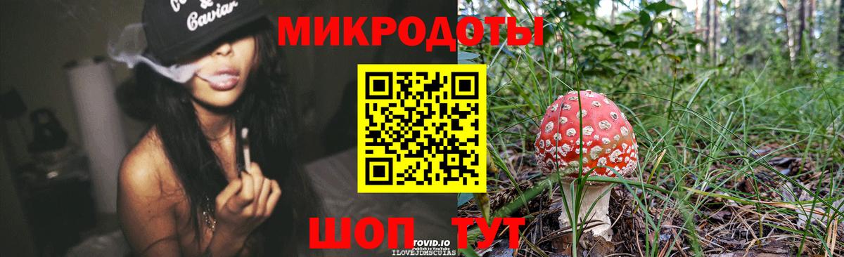 Курган  Галлюциногенные грибы Psilocybine cubensis  Вход с VPN 